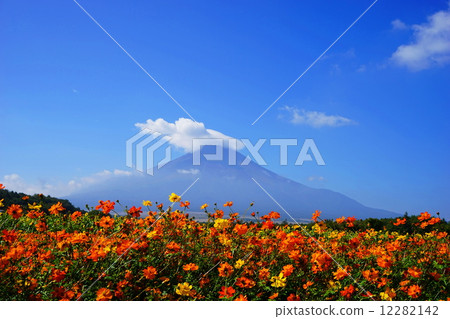 September landscape · Mt. Fuji 576 Kivanakosmos group cloth 12282142