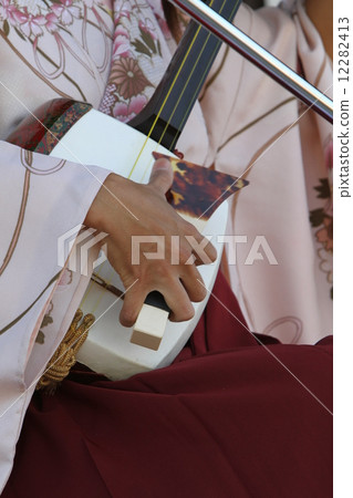Shamisen 12282413