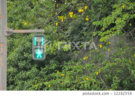 行人紅綠燈 12282558