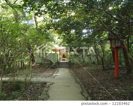 Todoroki Valley Todoroki Valley 12283462