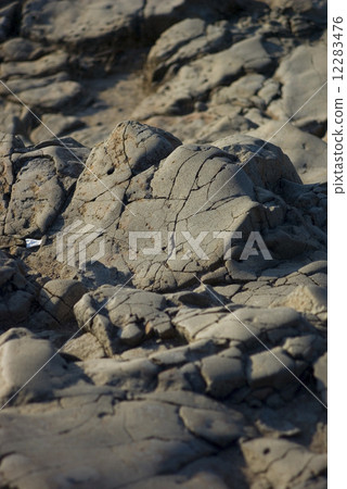 Higashiroboro輝石安山岩 12283476