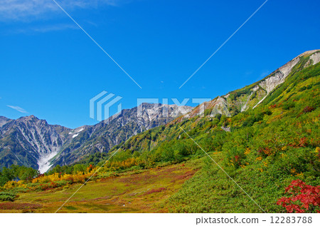 Tsugaike Nature Park Hakuba Daisetsuki 12283788