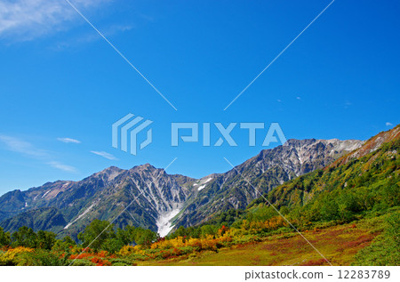 Tsugaike自然公園Hakuba Daisetsuki 12283789