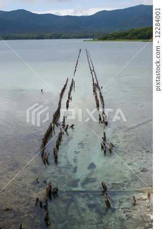 From the Oyama mountain river 12284001