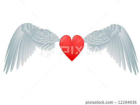 heart and white wings 12284036