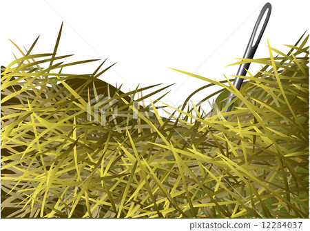 needle in a haystack 12284037