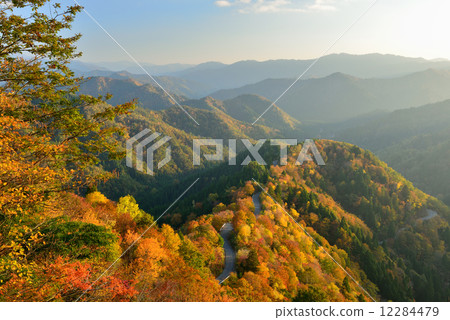 Autumn leaves of Kodani Pass Autumn leaves of Kodani Pass 12284479