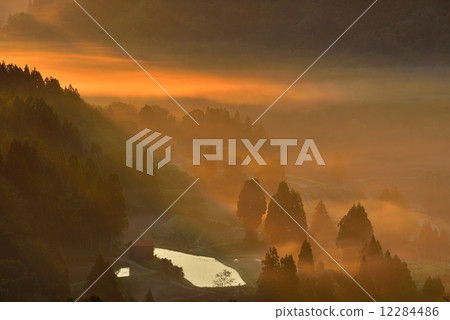 星通的稻田 星通的稻田 12284486