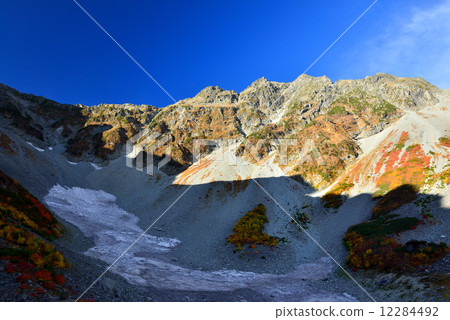 Lively foliage 12284492