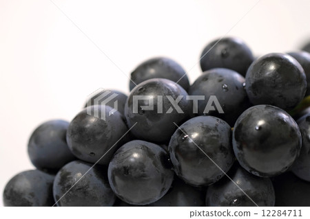 Grape (Nagano Purple) Grape (Nagano Purple) 12284711