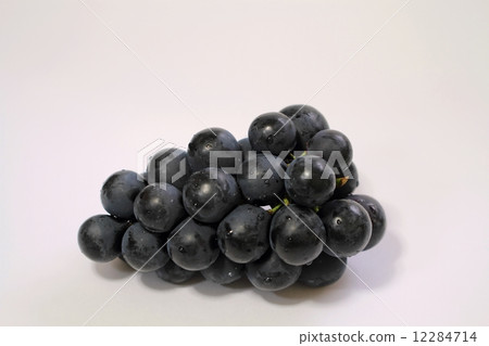 Grape (Nagano Purple) 12284714