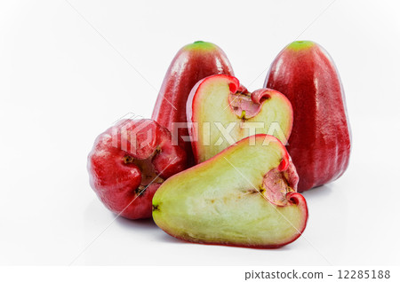 rose apple rose apple 12285188