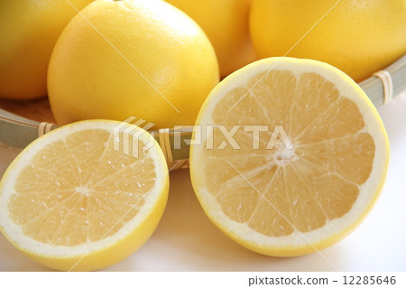 grapefruit  12285646