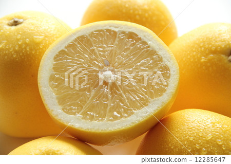 grapefruit grapefruit 12285647
