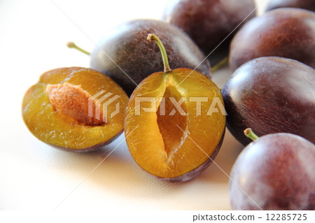 prune prune 12285725