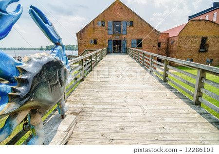 waterfront scenes in washington north carolina 12286101