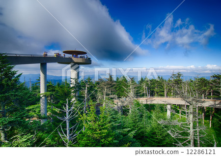 Clingmans Dome - Great Smoky Mountains National Park 12286121