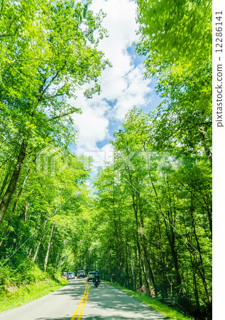 tail of the dragon scenic road in great smoky mountains tail of the dragon scenic road in great smoky mountains 12286141