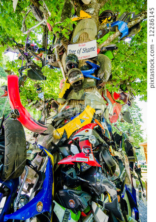 tree of shame near tail of dragon road in nc tree of shame near tail of dragon road in nc 12286145