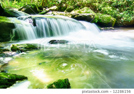 yellow creek falls great smoky mountains yellow creek falls great smoky mountains 12286156