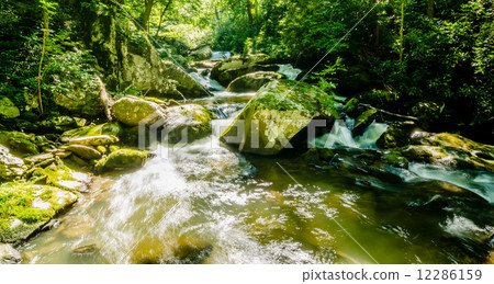 yellow creek falls great smoky mountains yellow creek falls great smoky mountains 12286159