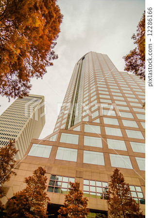 charlotte city skyline autumn season 12286166
