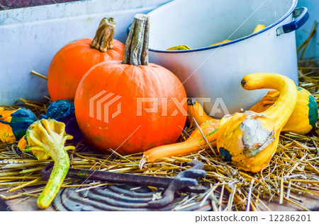 pumpkins decorations 12286201
