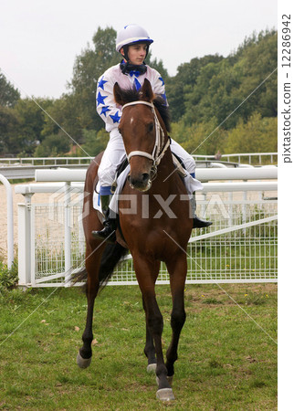 The jockey. The jockey. 12286942
