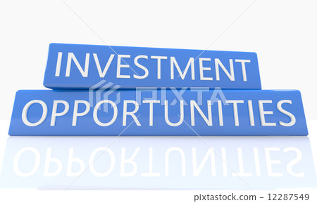 Investment Opportunities 12287549