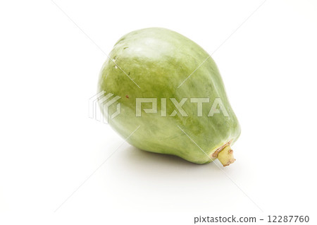 Blue Papaya 12287760