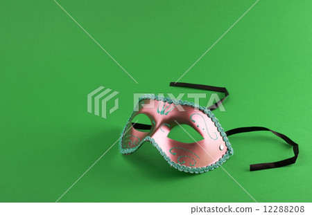 Carnival mask 12288208