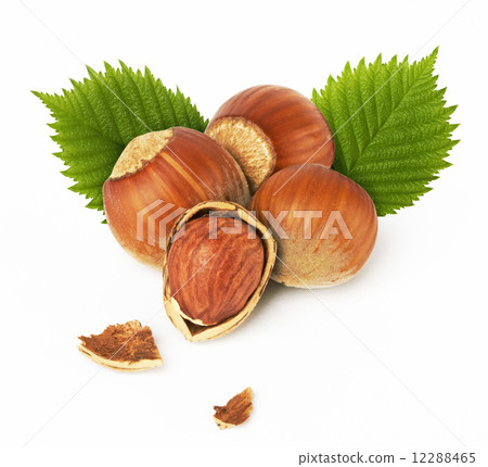 hazelnuts with leaves 12288465