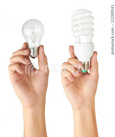 Light bulb in hand 12288541