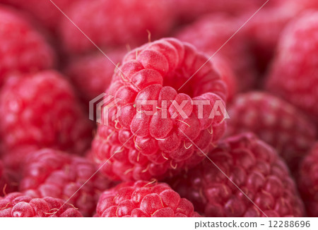 sweet raspberries closeup background 12288696