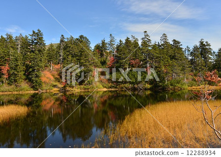 秋天下降的雪原高原 12288934
