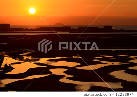 Shinkai的平面著陸 12288974