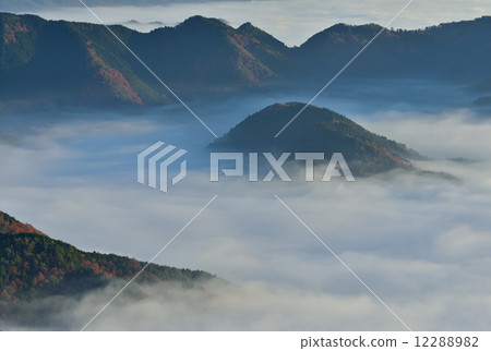 Iwawayama的雲海 12288982