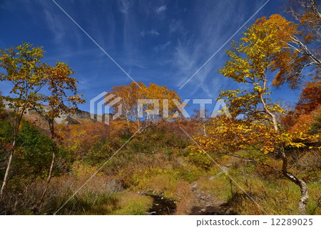 秋天下降的雪原高原 12289025