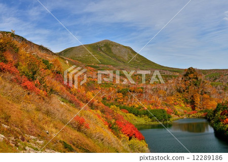秋天下降的雪原高原 12289186