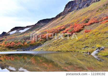 The fallen snowfield plateau in autumn 12289192