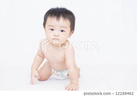 嬰兒 12289462