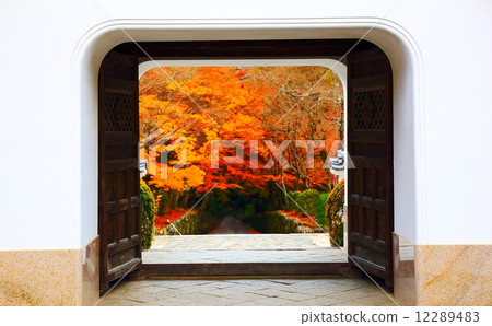 Autumn leaves Uji Koikyoji Autumn leaves Uji Koikyoji 12289483