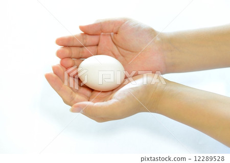 Egg in the palm of your hand 12289528