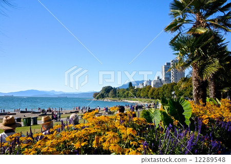 English Bay 12289548