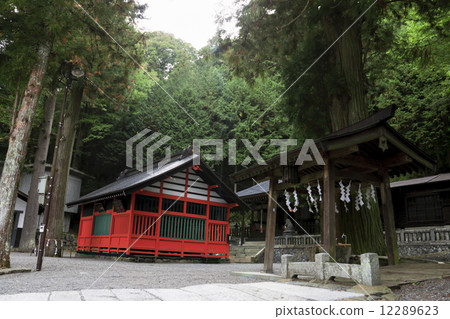 奈良旅館的秋天 奈良旅館的秋天 12289623