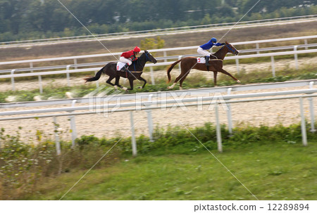 Horse racing. Horse racing. 12289894