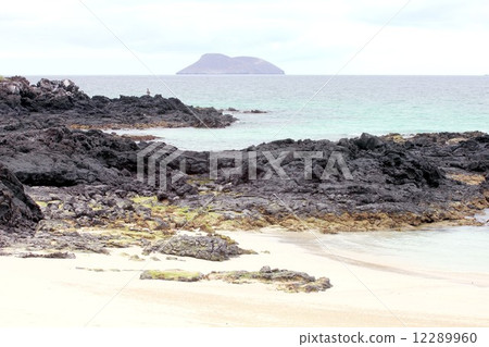 生物進化島的島嶼漂浮在南美洲的太平洋厄瓜多爾,加拉帕戈斯群島聖菲島海灘 生物進化島的島嶼漂浮在南美洲的太平洋厄瓜多爾,加拉帕戈斯群島聖菲島海灘 12289960