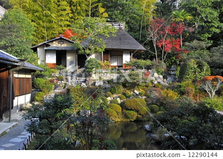 京都Coscionte庭院的秋葉 12290144