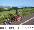 Cycling 12290753