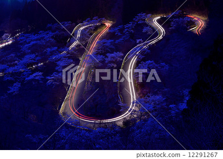 Cherry tree at Takamori Pass Cherry tree at Takamori Pass 12291267